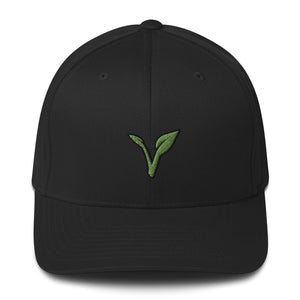 V Vegan - Cap